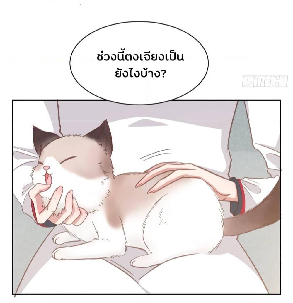 อ่านการ์ตูน มังงะ